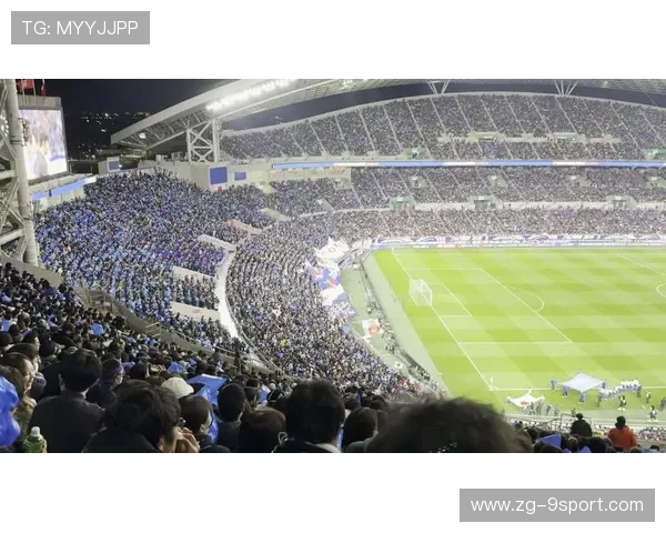 球迷热情：现场应援令人难忘的瞬间，球迷的热爱