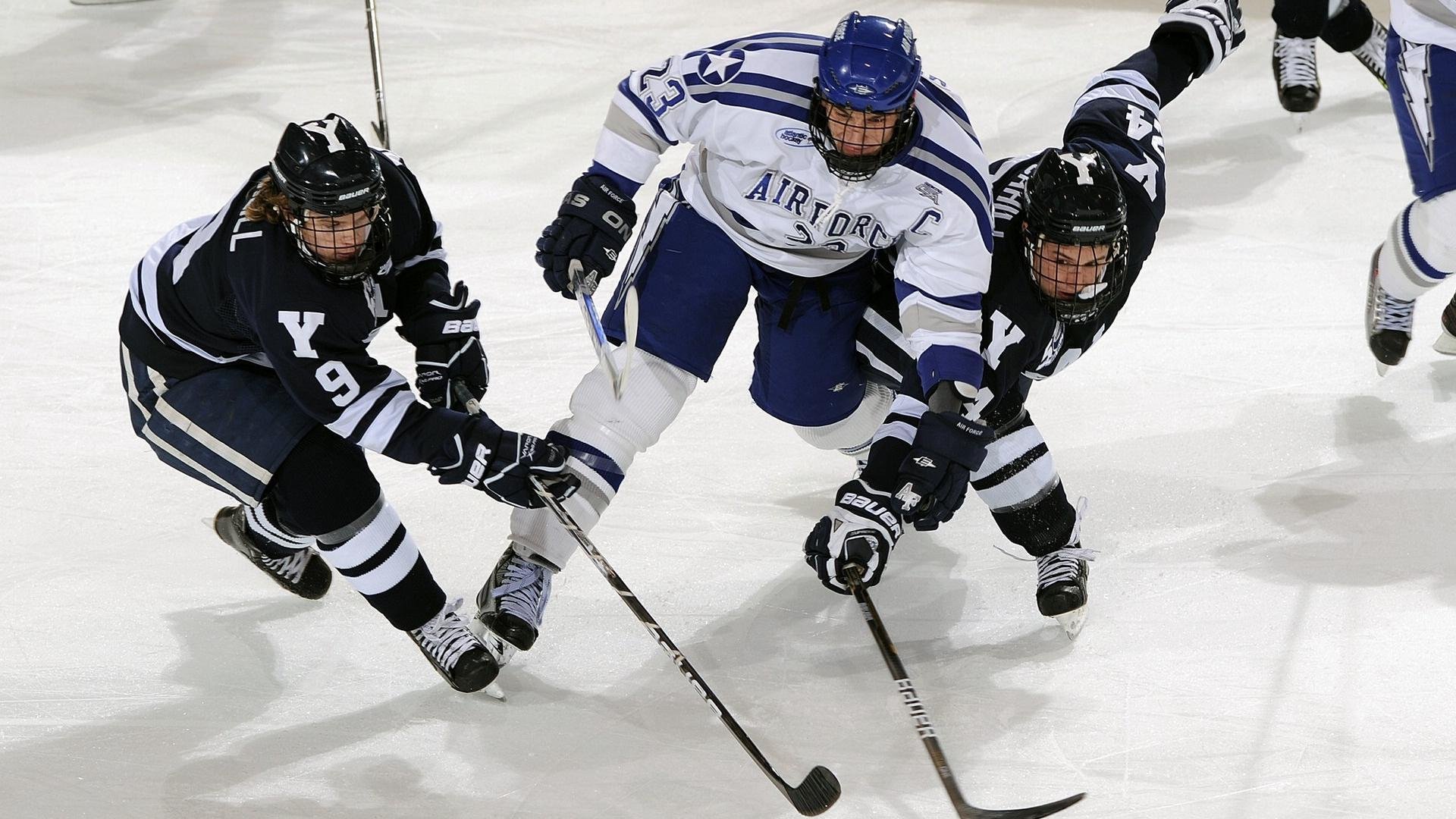 “南非羚羊队的复兴之路:萨尔·巴赫的关键作用”