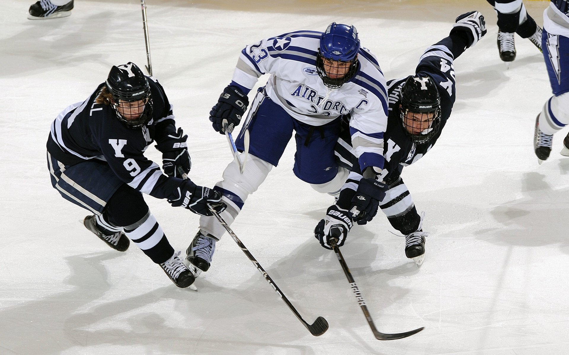 九游娱乐在线-“南非羚羊队冲击世界第一，萨尔·巴赫成为焦点人物”
